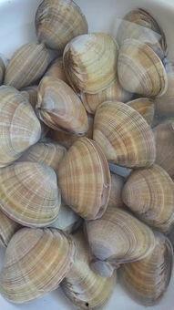 小西美吃瓜,揭秘娱乐圈那些不为人知的幕后故事