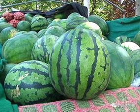 老八吃瓜,揭秘娱乐圈幕后真相