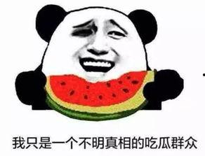 吃瓜吃成马冬梅,一场美食与人生的奇妙旅程