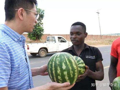 震撼吃瓜网友,揭秘娱乐圈最新热点事件！