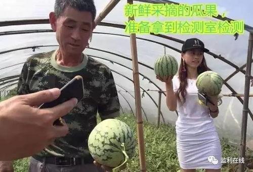 群众报道吃瓜直播,揭秘网络红人的幕后生活