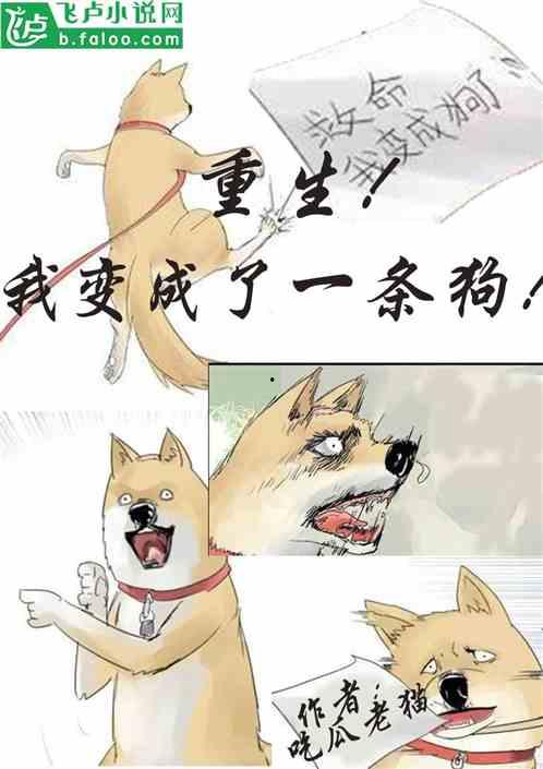 吃瓜要主动小说,主动探索的奇幻之旅