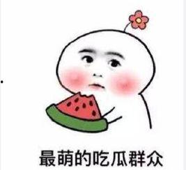 不明情况吃瓜群众,吃瓜群众眼中的真相揭晓